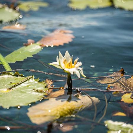 Casa Sol Y Luna Bacalar Bed & Breakfast ภายนอก รูปภาพ